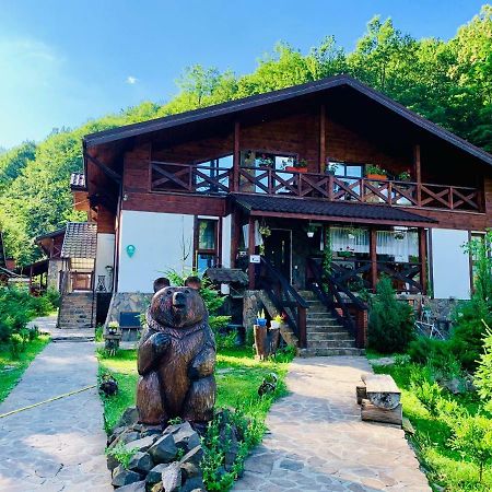 Chalet Vedmezhe Polyana  Dış mekan fotoğraf