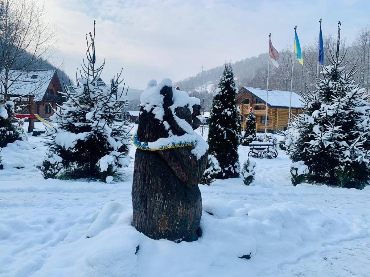Chalet Vedmezhe Polyana  Dış mekan fotoğraf