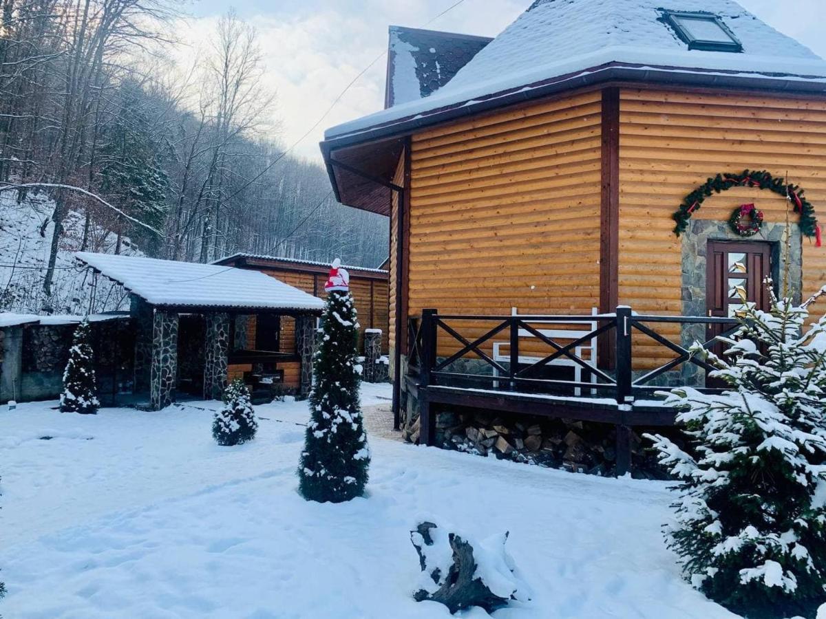 Chalet Vedmezhe Polyana  Dış mekan fotoğraf