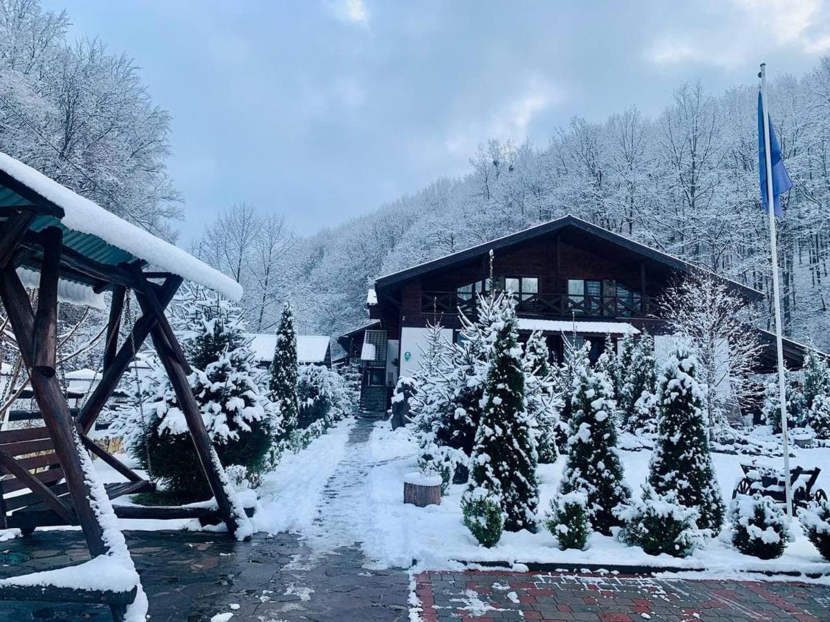Chalet Vedmezhe Polyana  Dış mekan fotoğraf