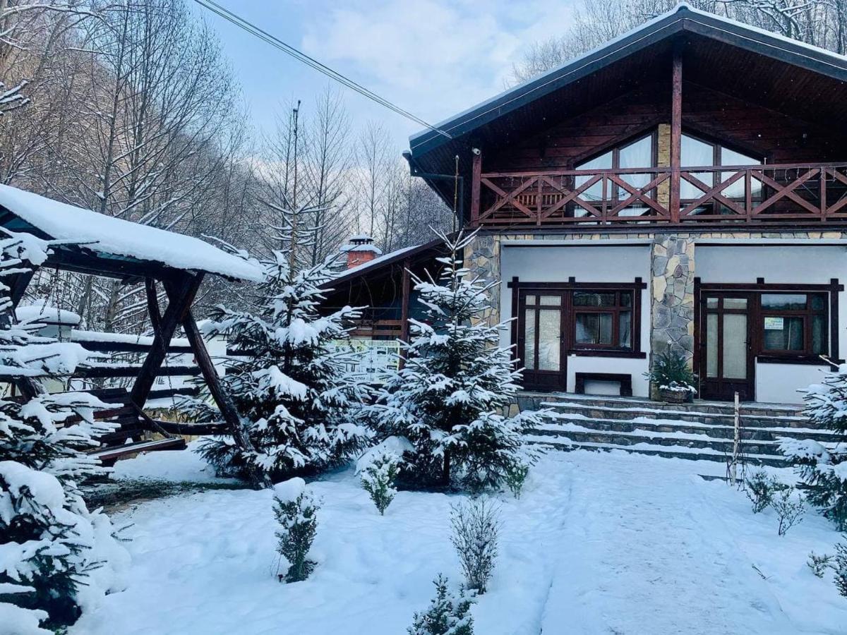 Chalet Vedmezhe Polyana  Dış mekan fotoğraf