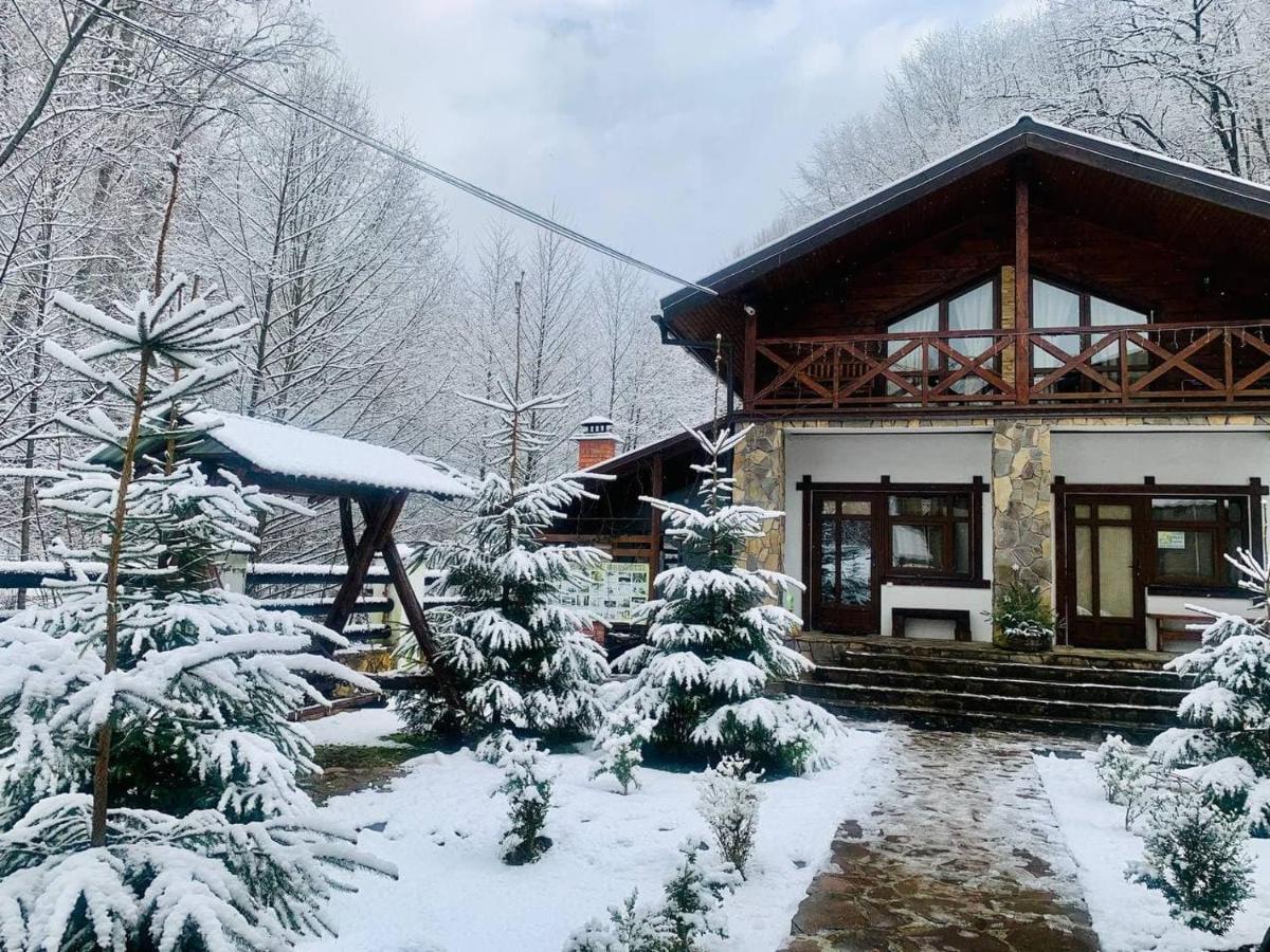 Chalet Vedmezhe Polyana  Dış mekan fotoğraf