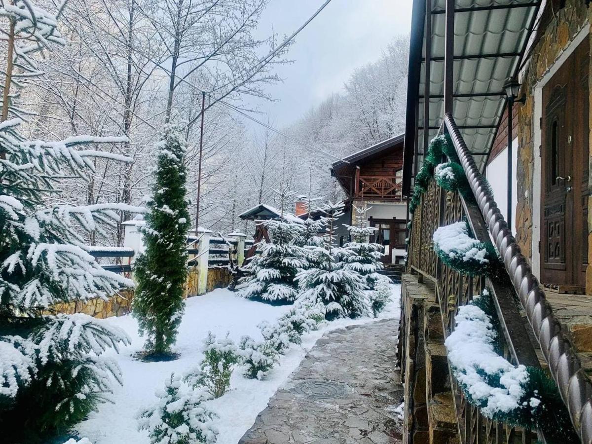 Chalet Vedmezhe Polyana  Dış mekan fotoğraf