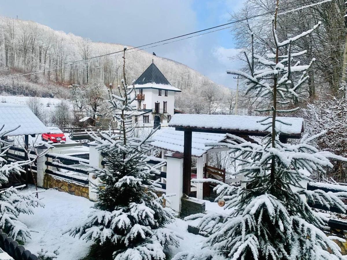Chalet Vedmezhe Polyana  Dış mekan fotoğraf