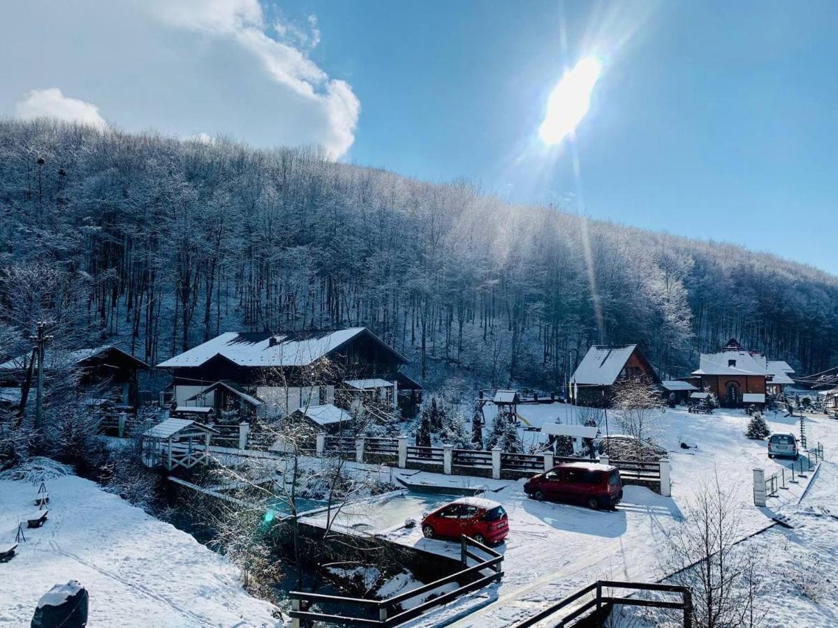 Chalet Vedmezhe Polyana  Dış mekan fotoğraf