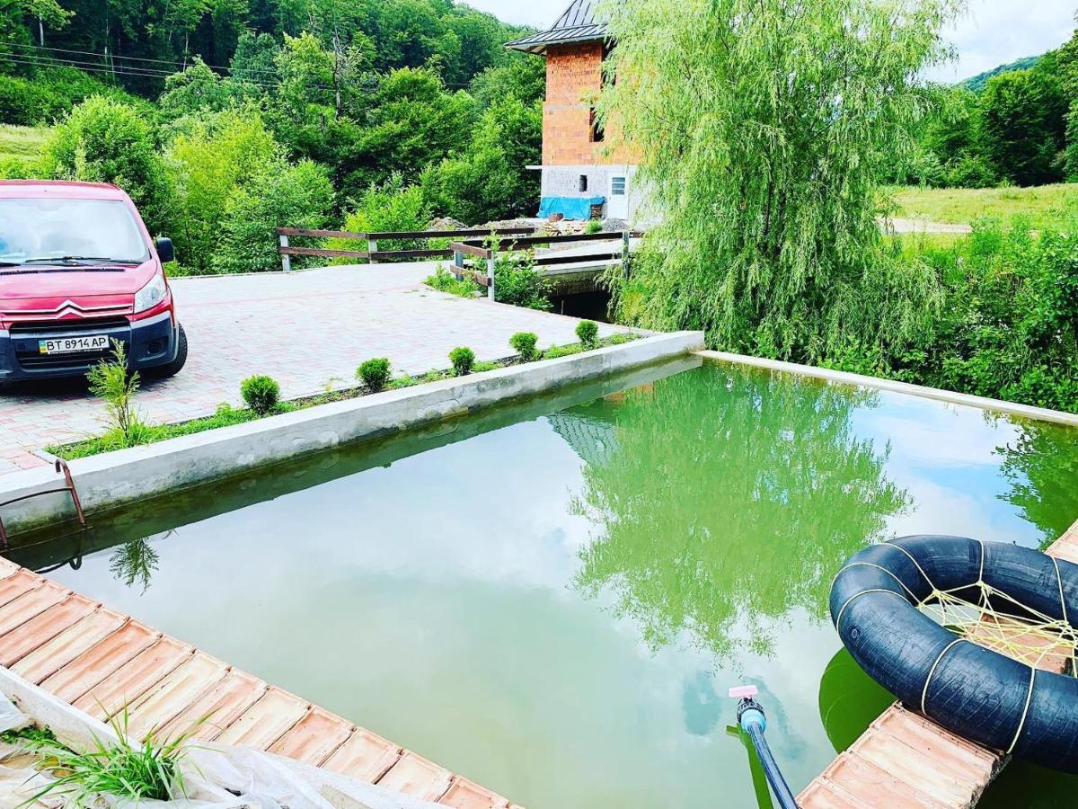 Chalet Vedmezhe Polyana  Dış mekan fotoğraf