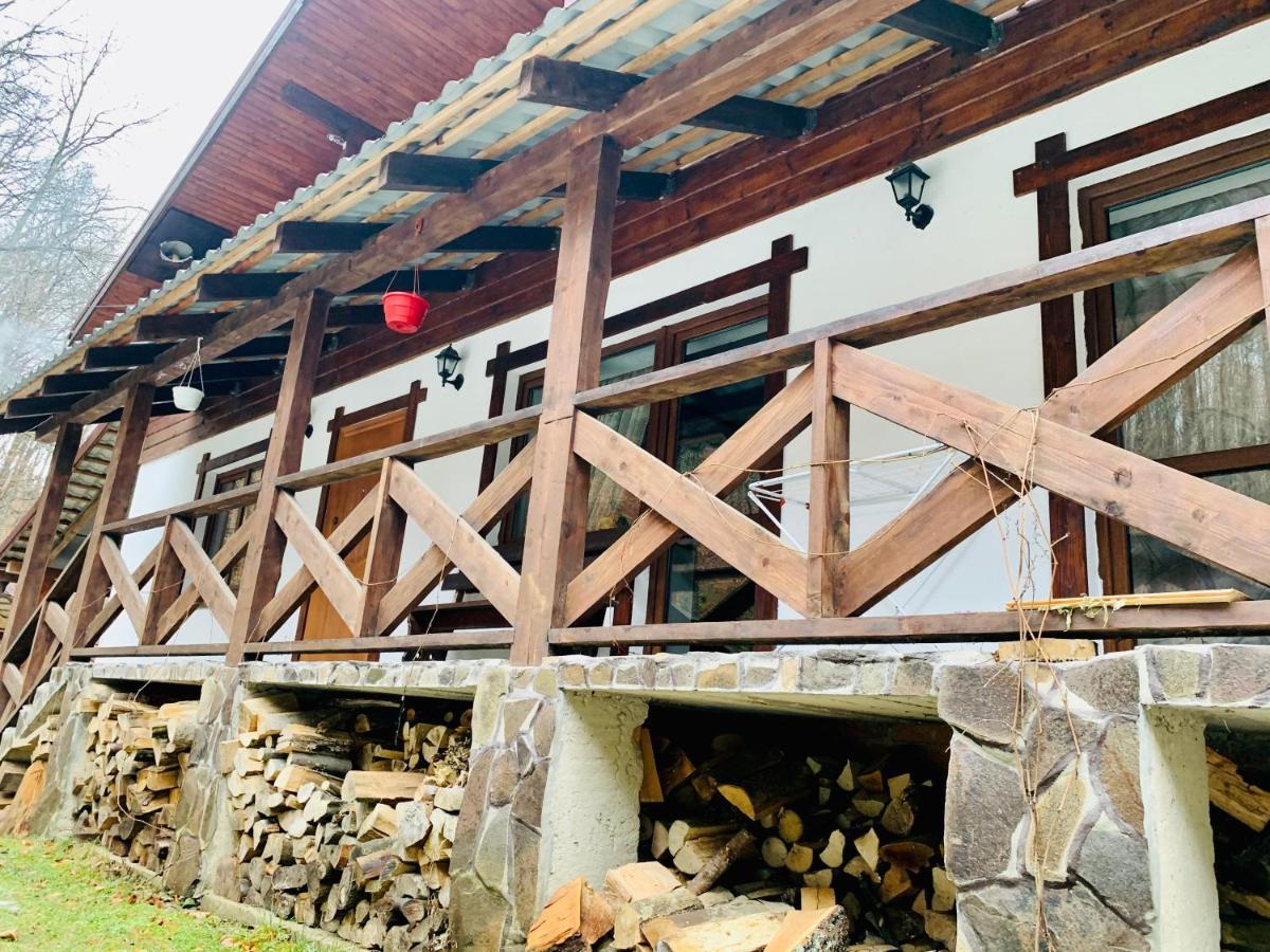 Chalet Vedmezhe Polyana  Dış mekan fotoğraf