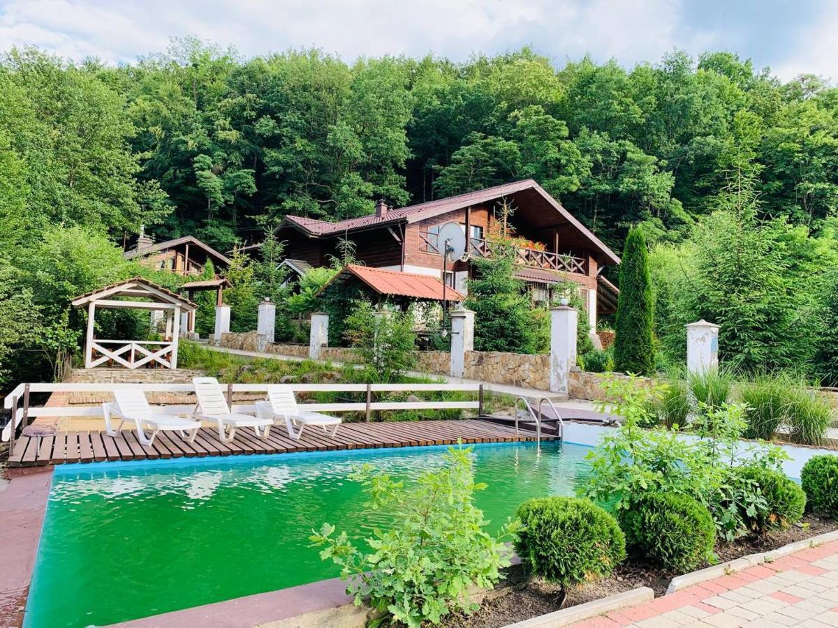 Chalet Vedmezhe Polyana  Dış mekan fotoğraf