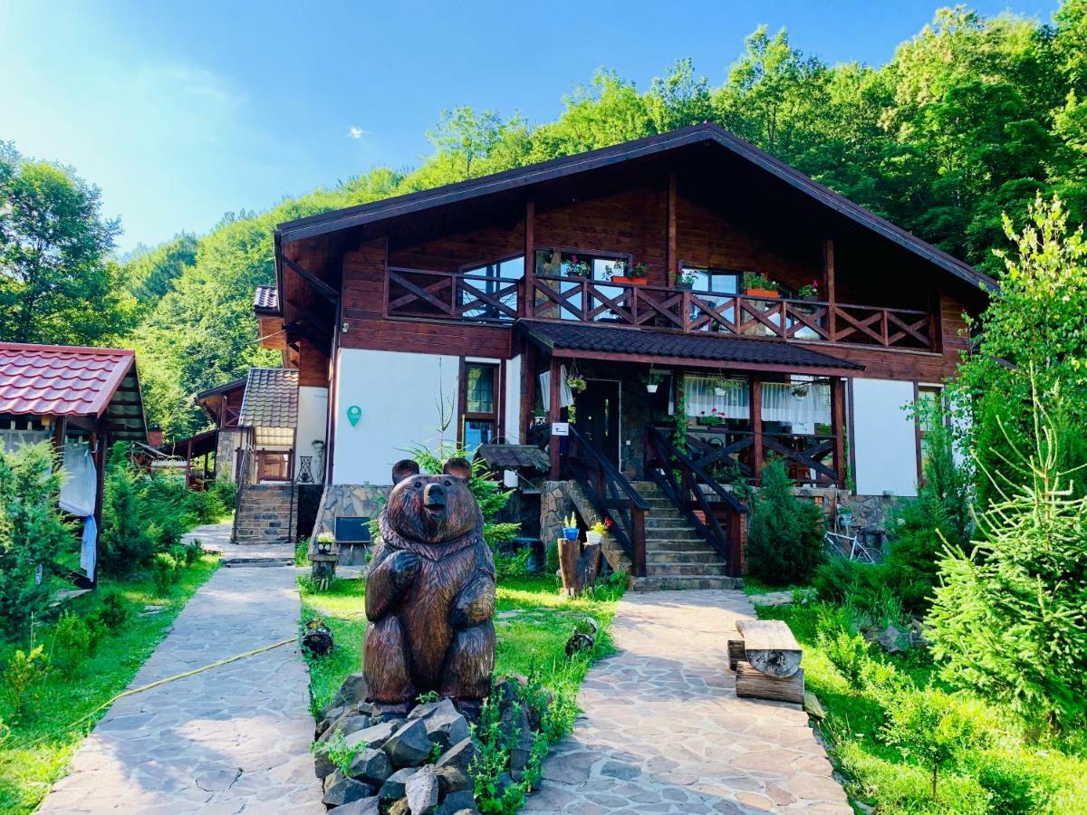 Chalet Vedmezhe Polyana  Dış mekan fotoğraf